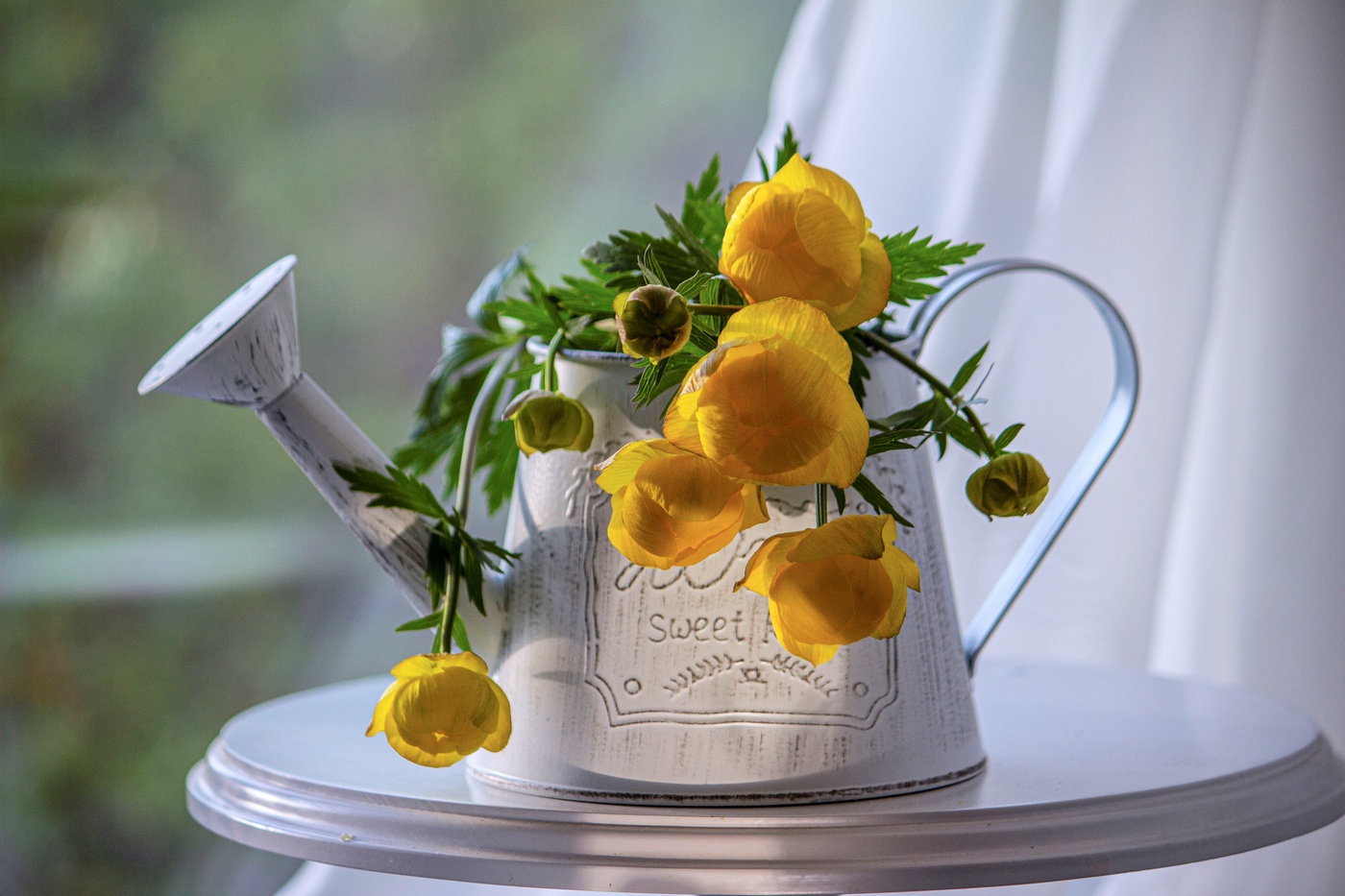 Купальница