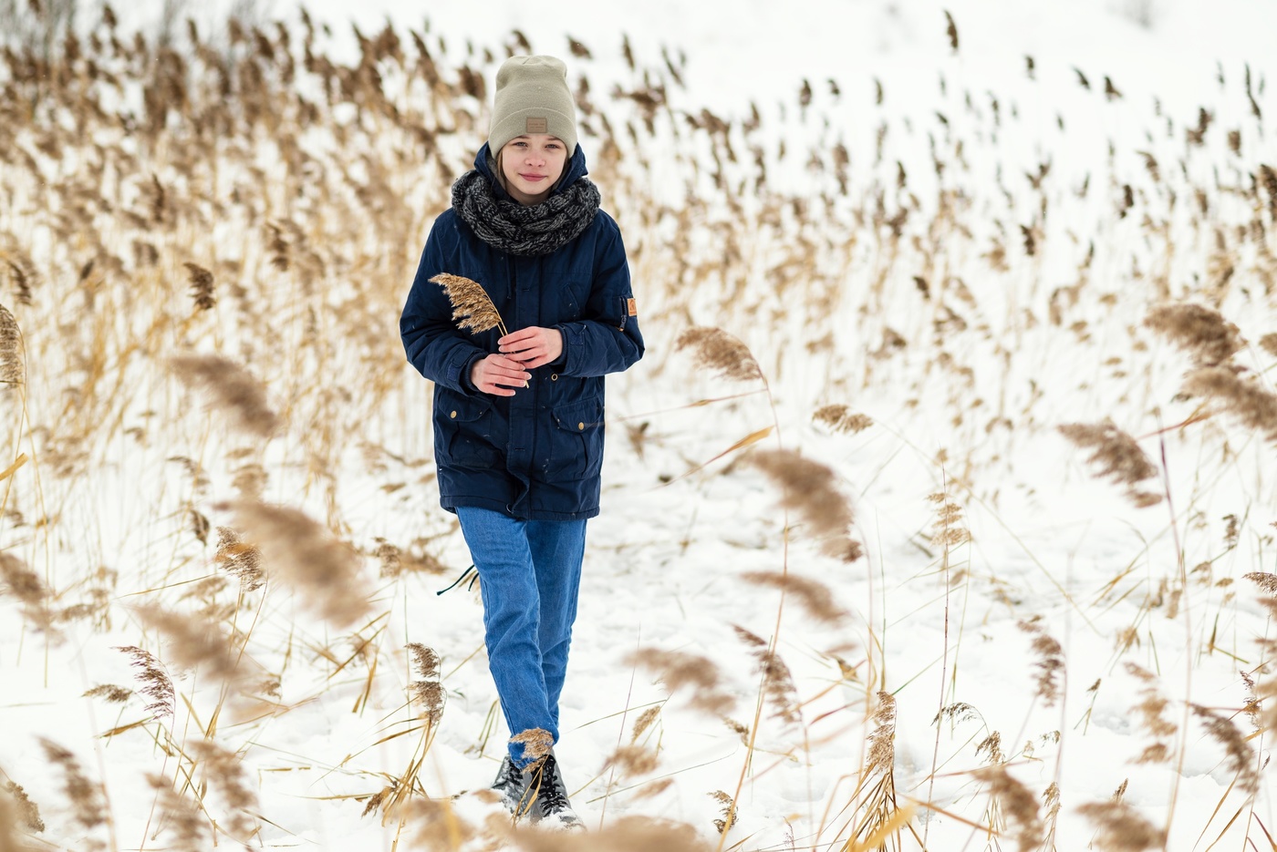 В лесу сухостоя