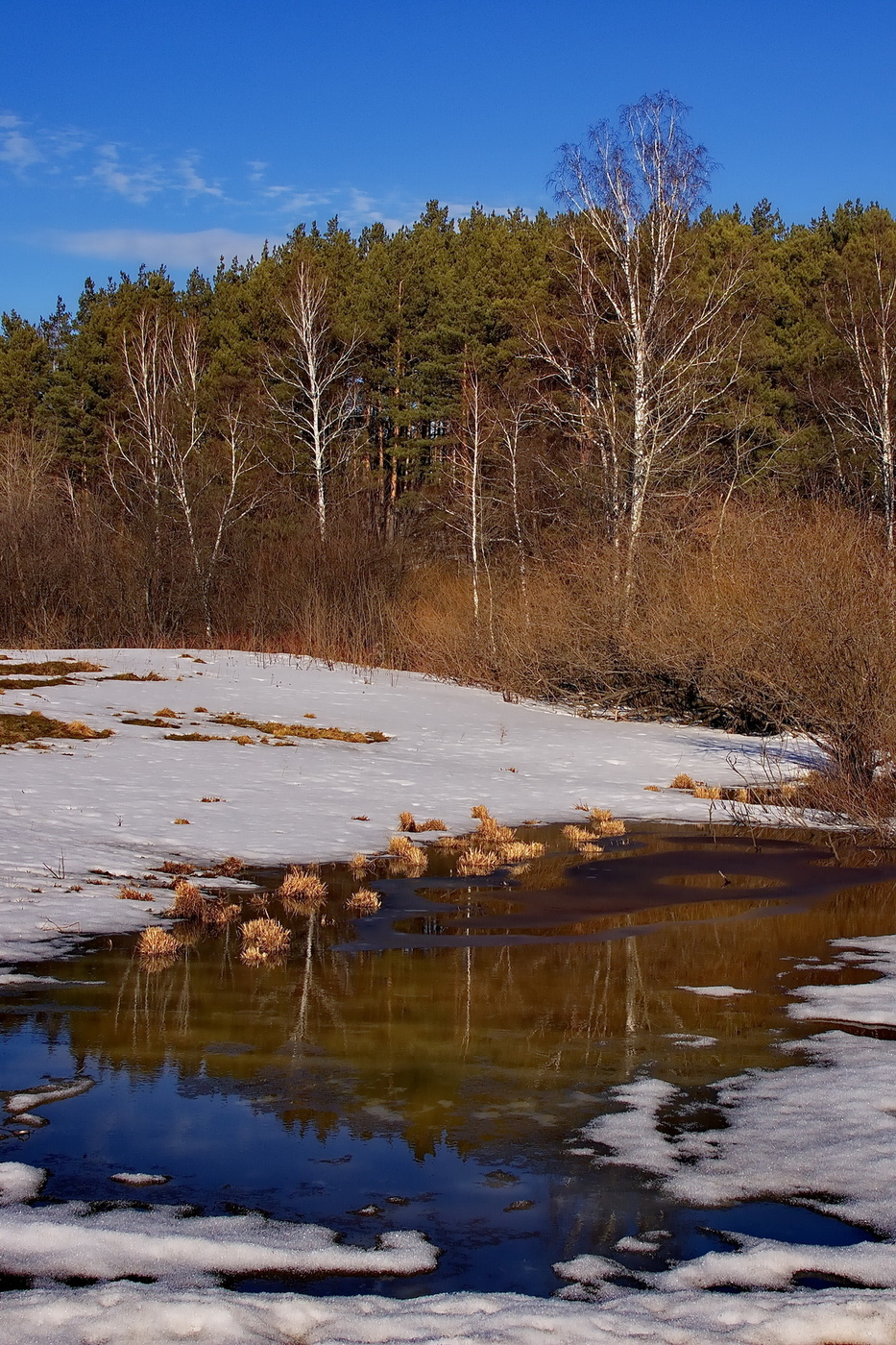 Снег сходит.