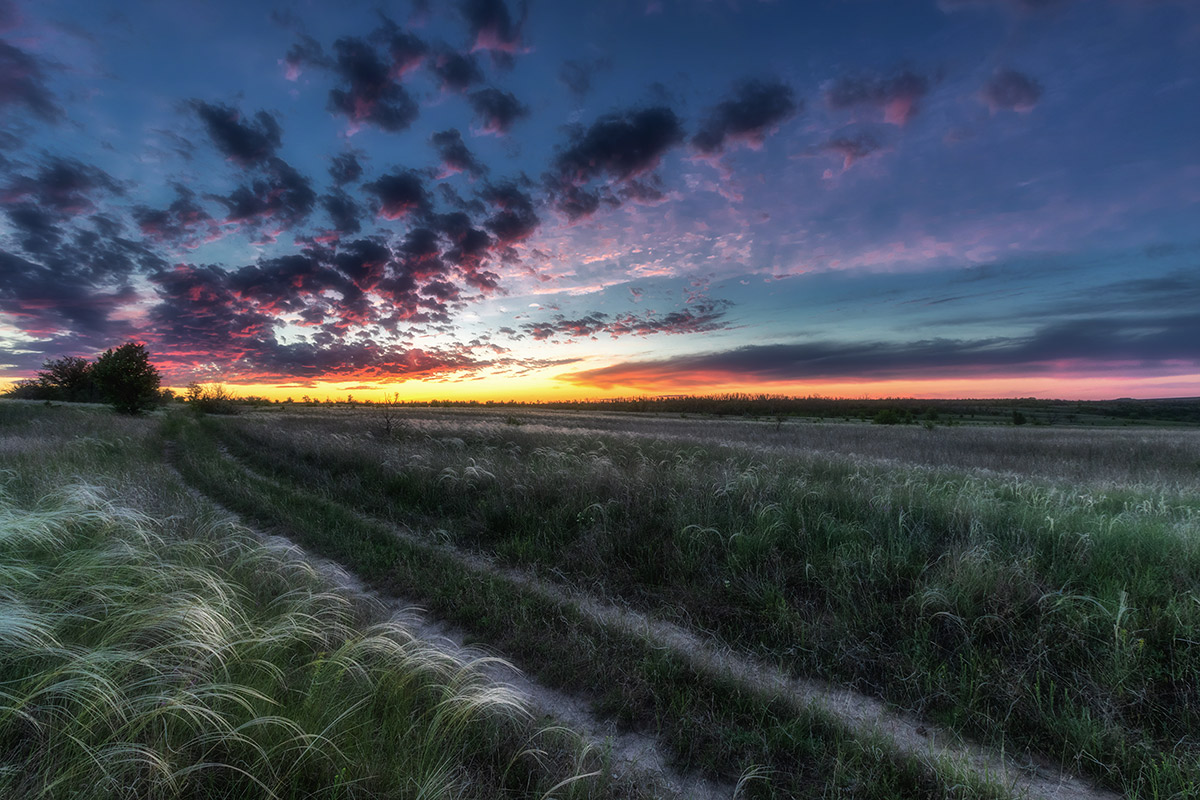 Когда цветет ковыль