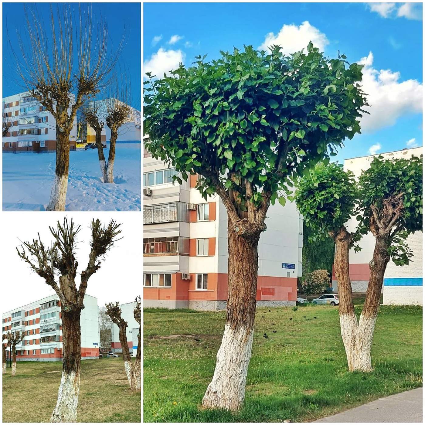 Красиво всё равно!