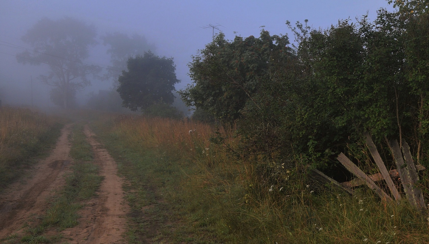 "И голосили третьи петухи ..."