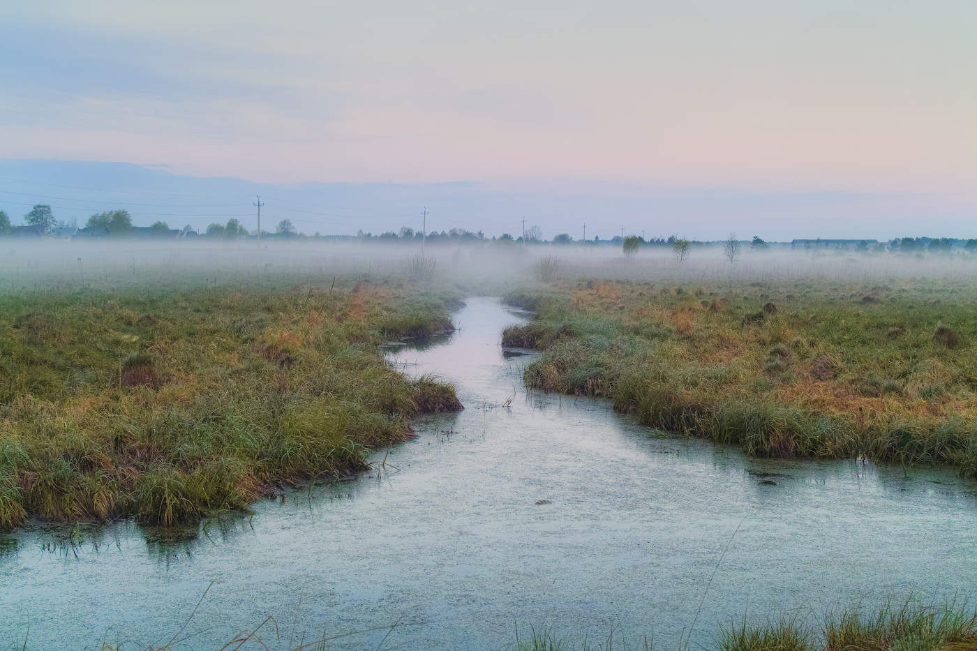 Рассвет на болоте