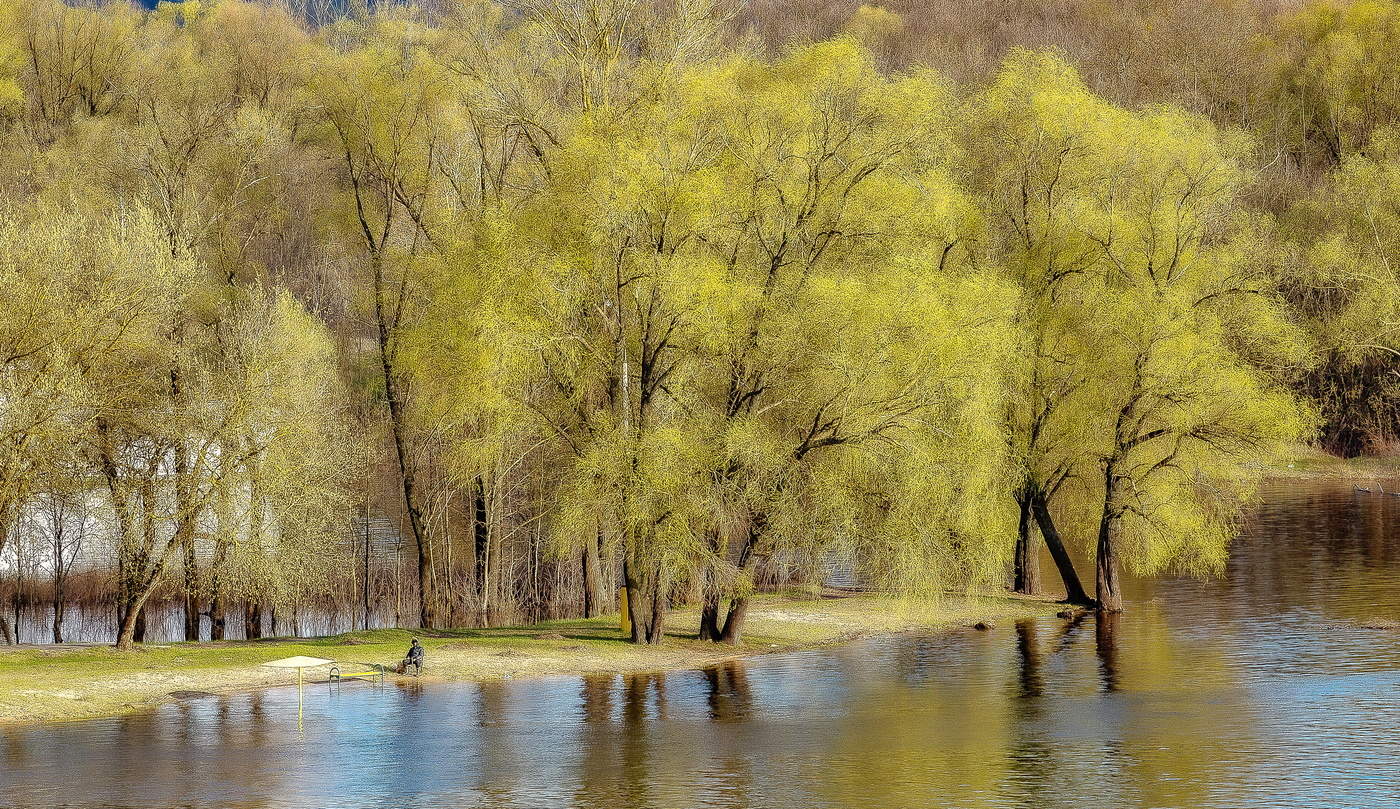 Наедине с Весной.