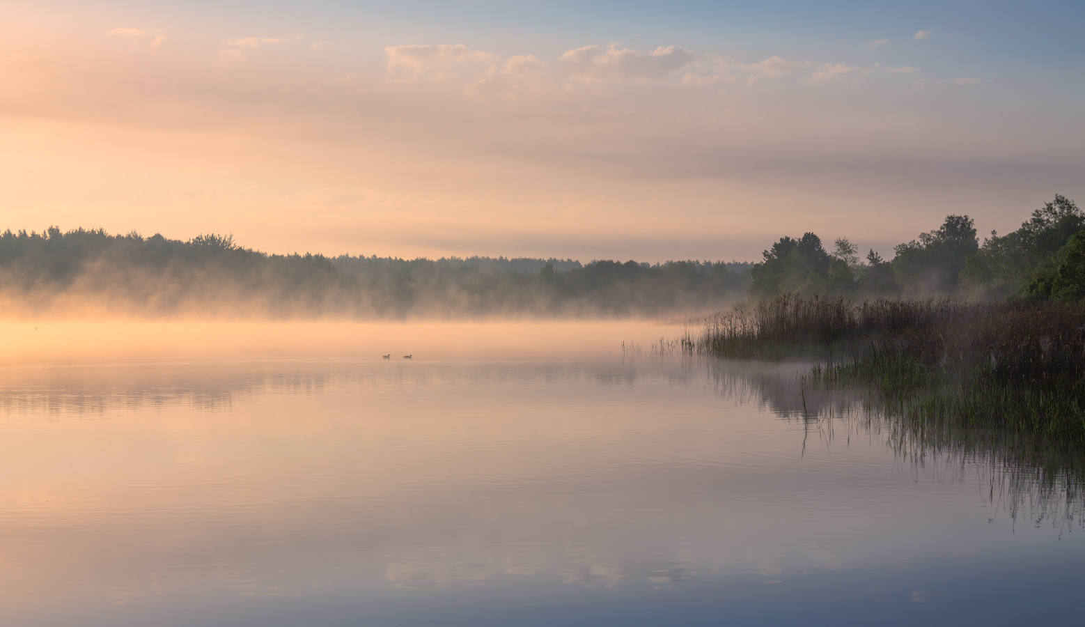 Долина туманов