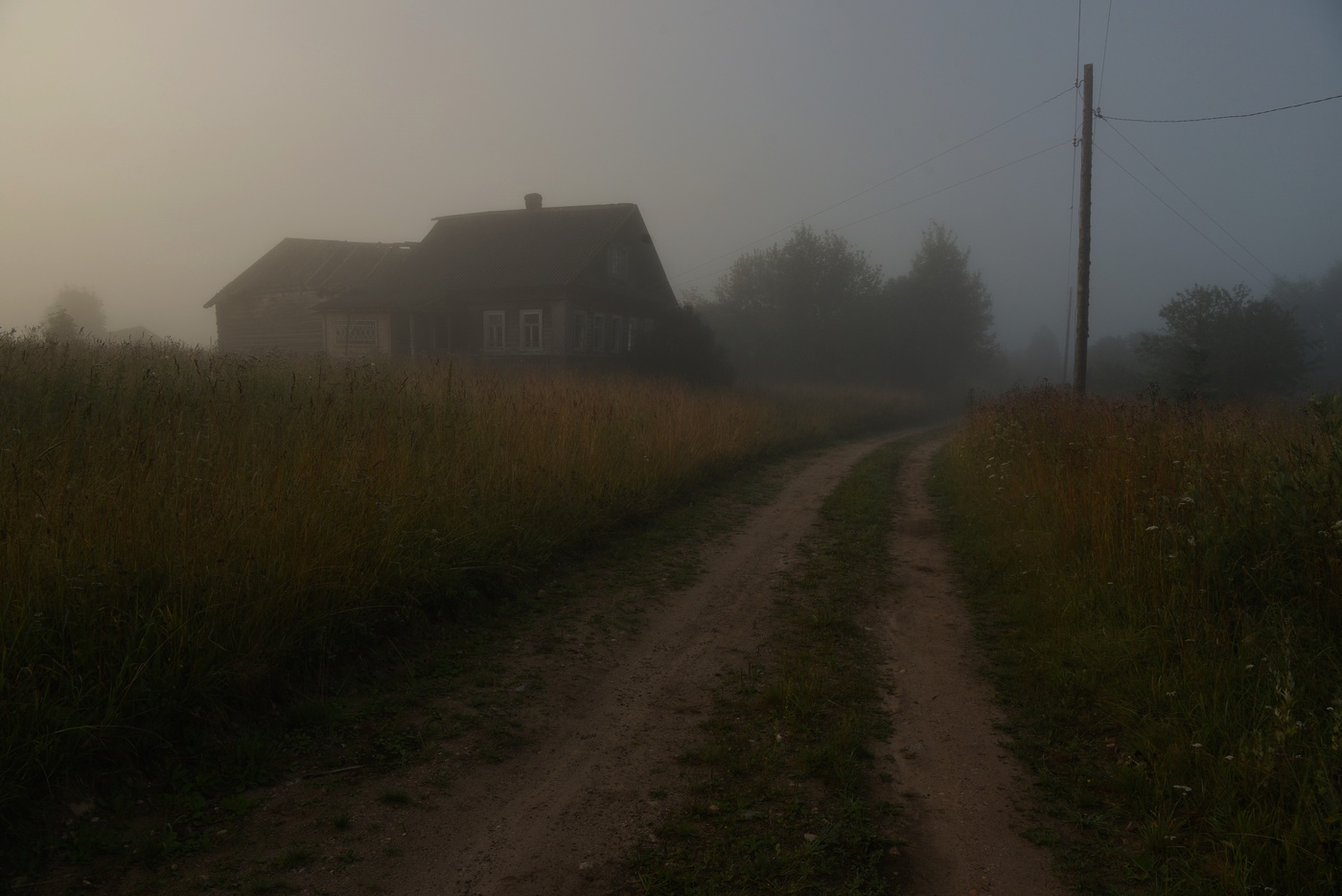 "Рассвело, лишь обрывки ночи еще прячутся между кустами..."