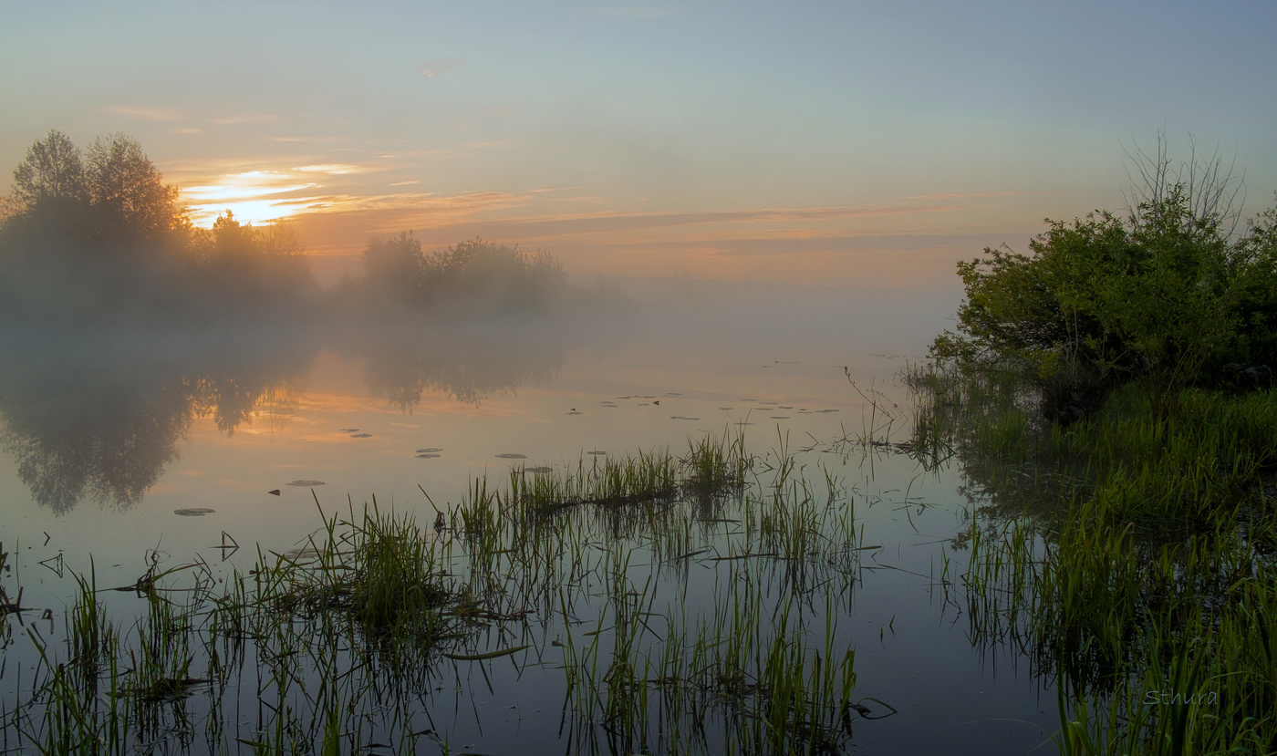 Весенняя тишина.