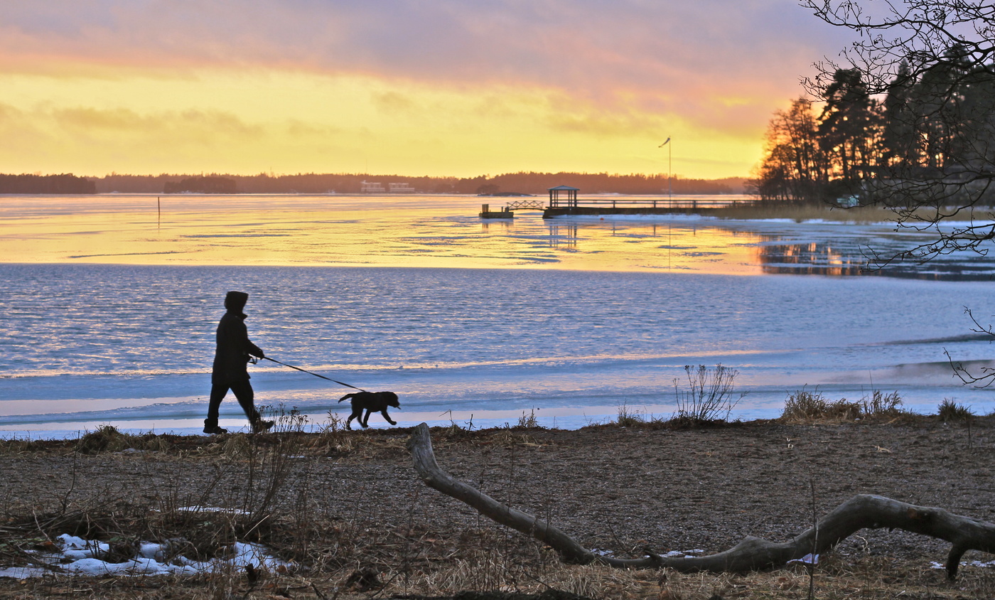 На прогулке