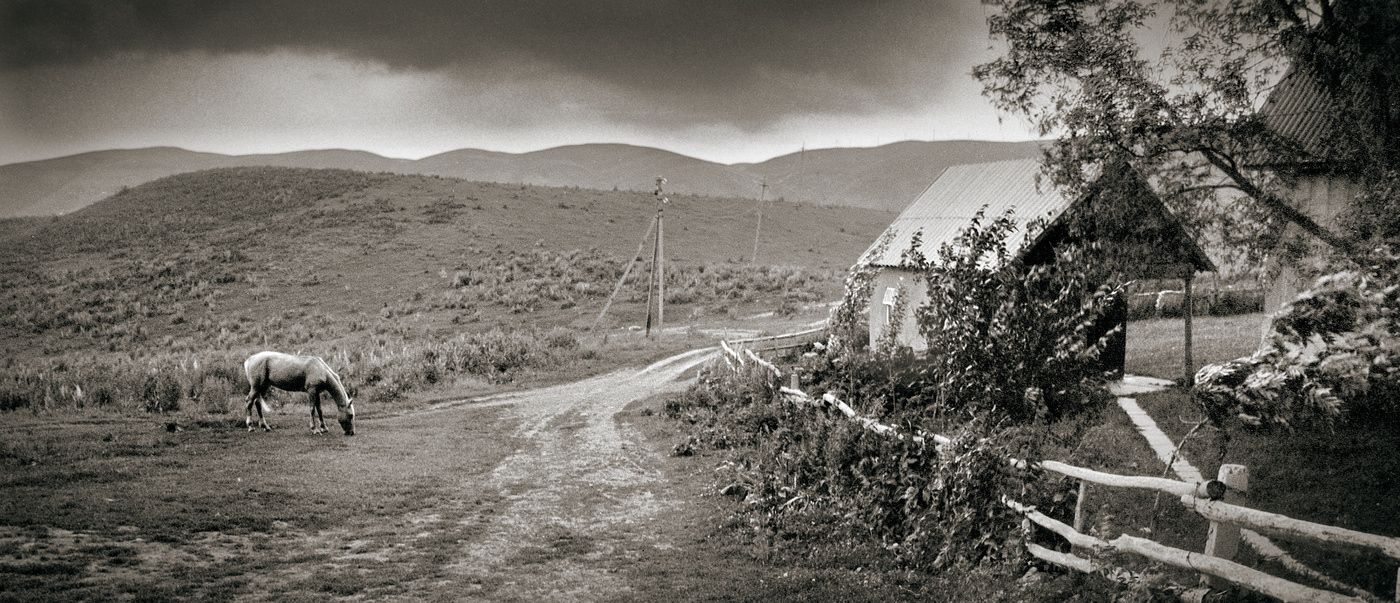 пейзаж с лошадью