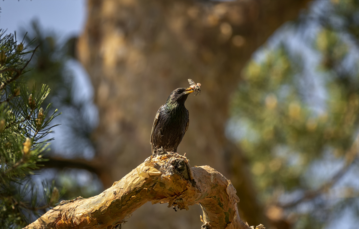 время забот..