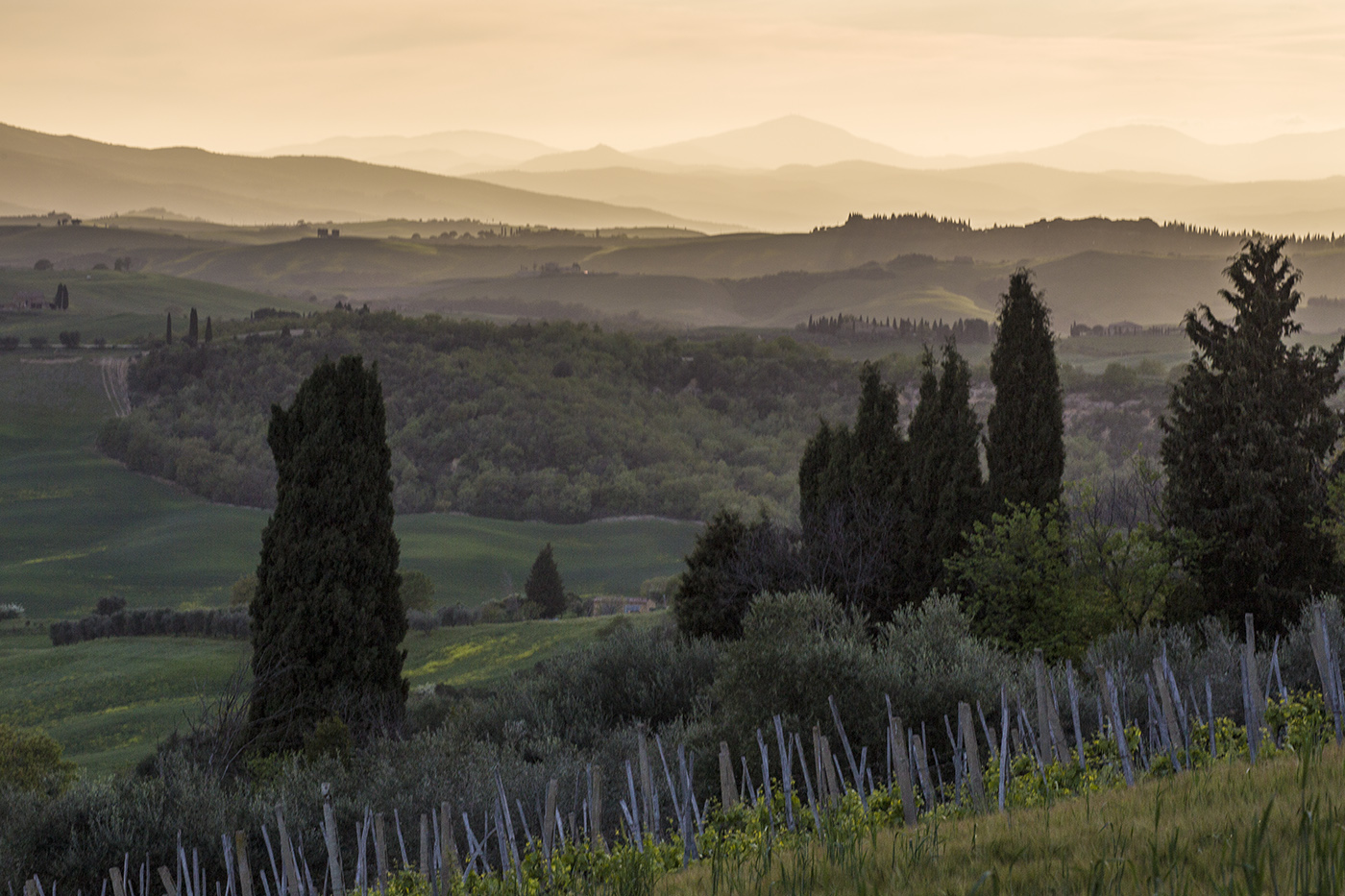 Вечерние дали