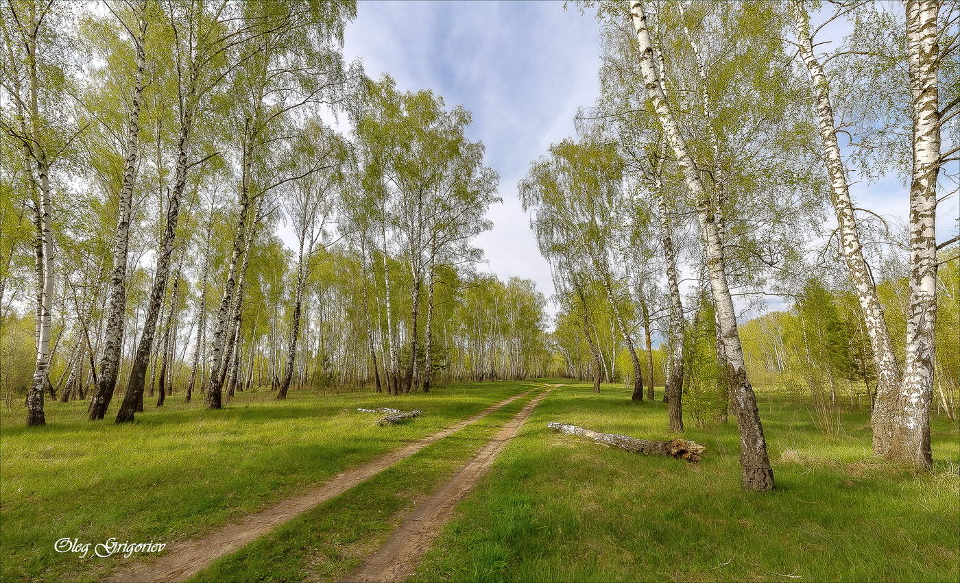 В краю берёзовом, где пахнет росами...