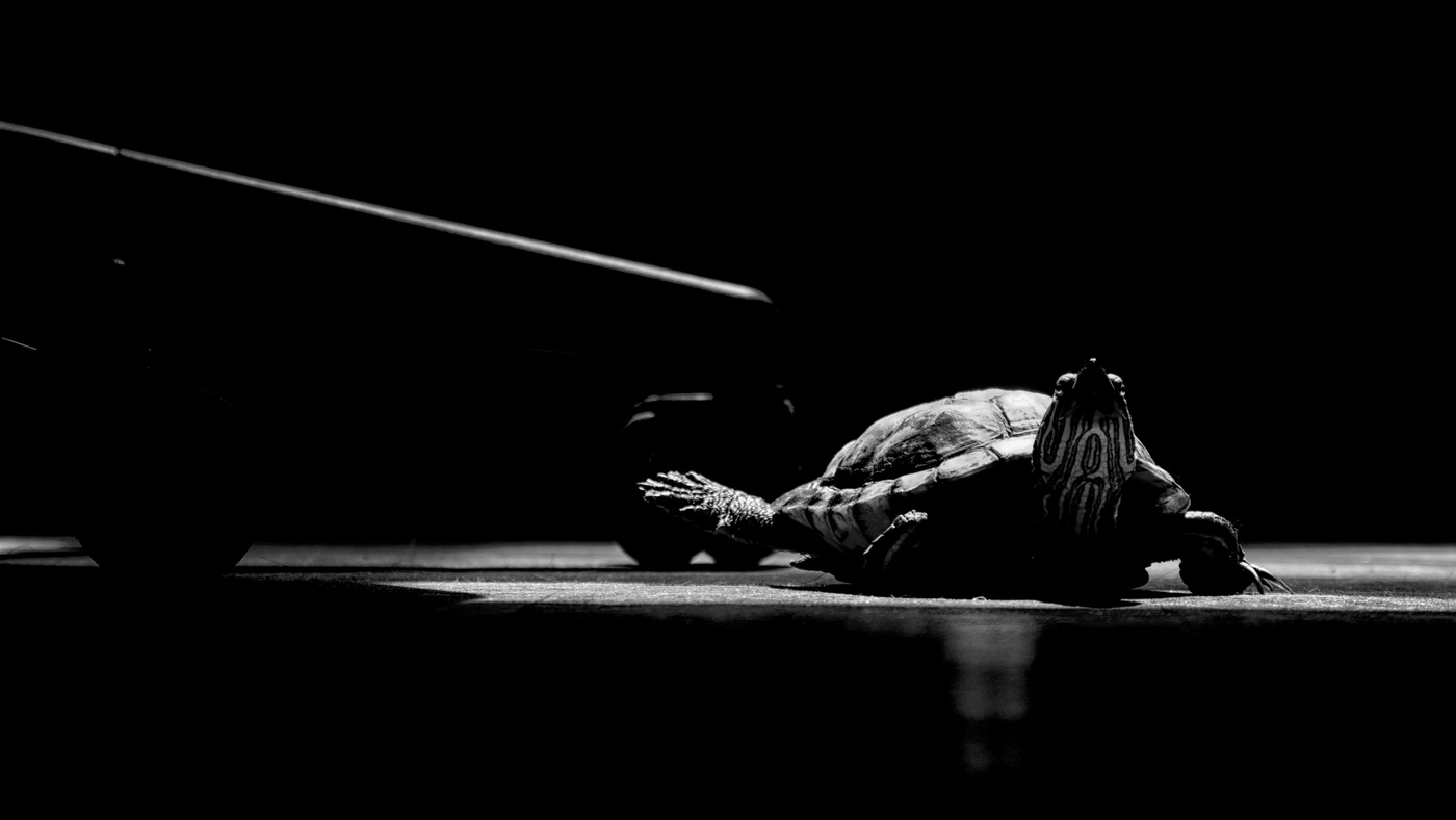 На солнышке