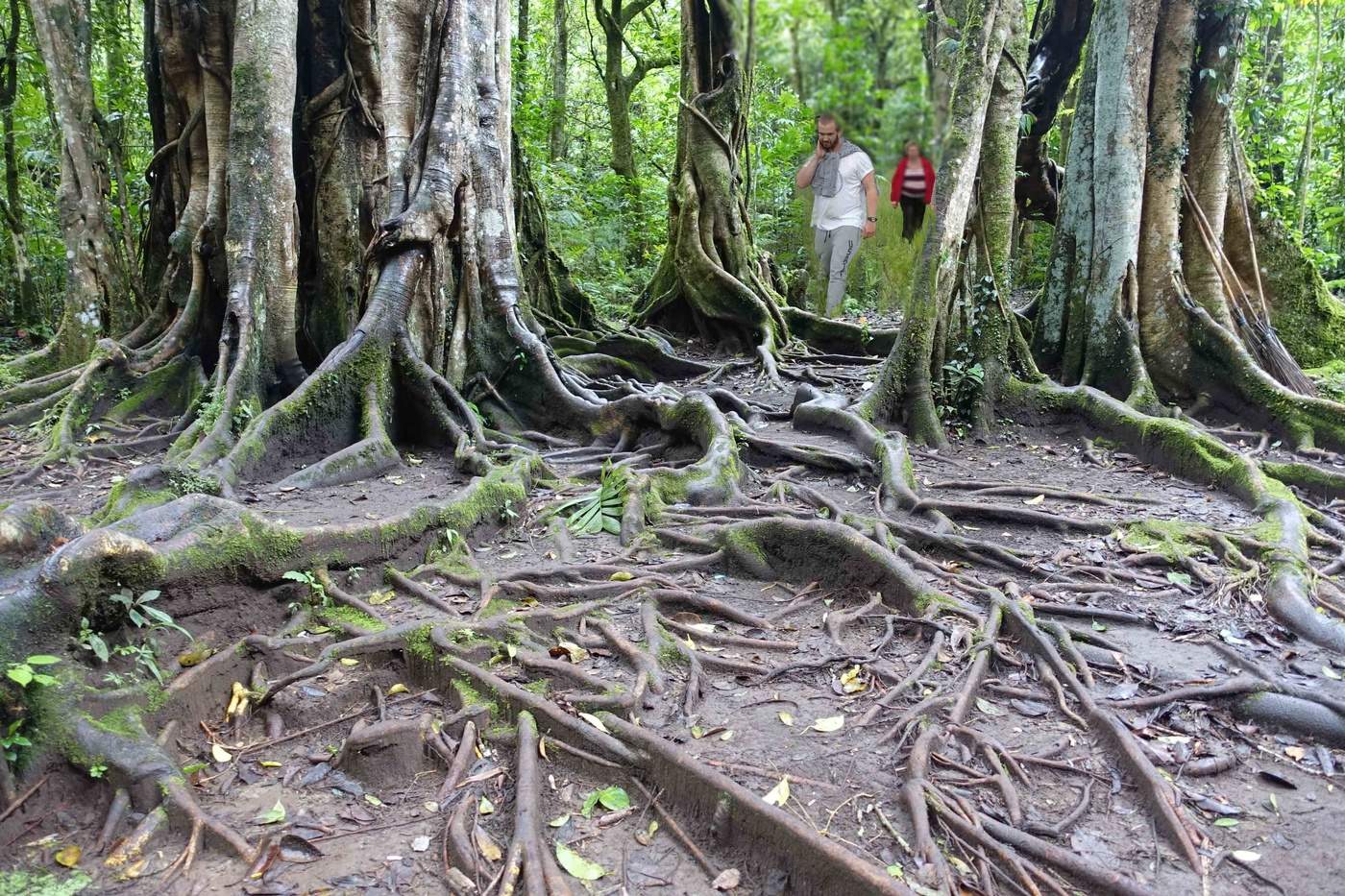 В битве за жизнь