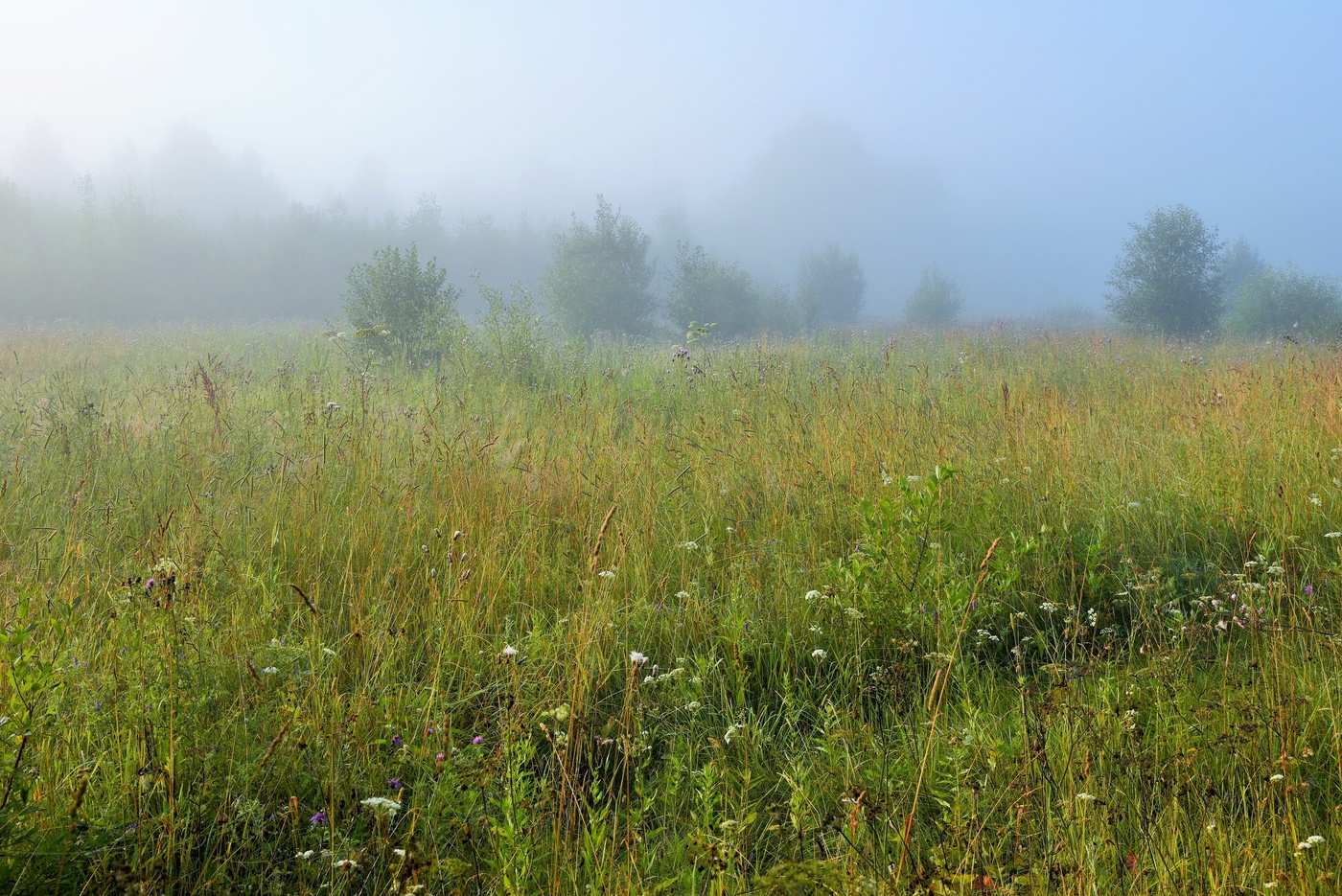 "Тишина - хоть на хлеб ее мажь ..."