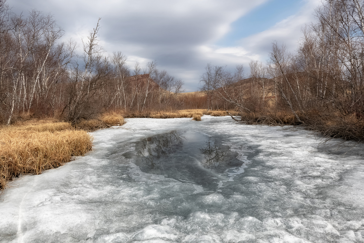 Просыпается природа.