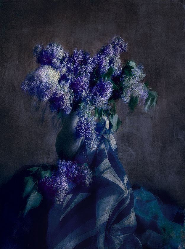 увядание сирени