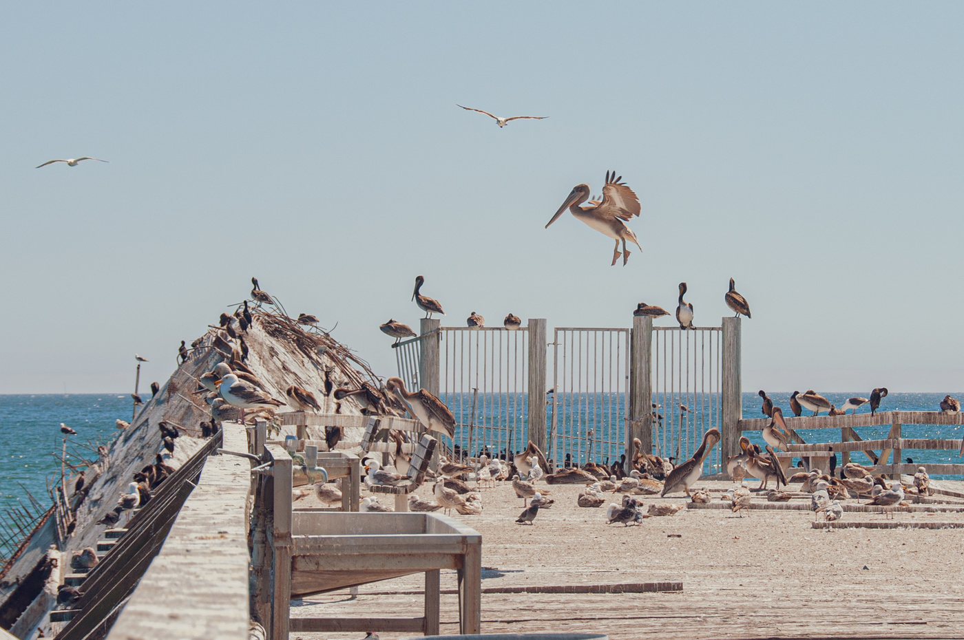 Ich gehe in die Landung