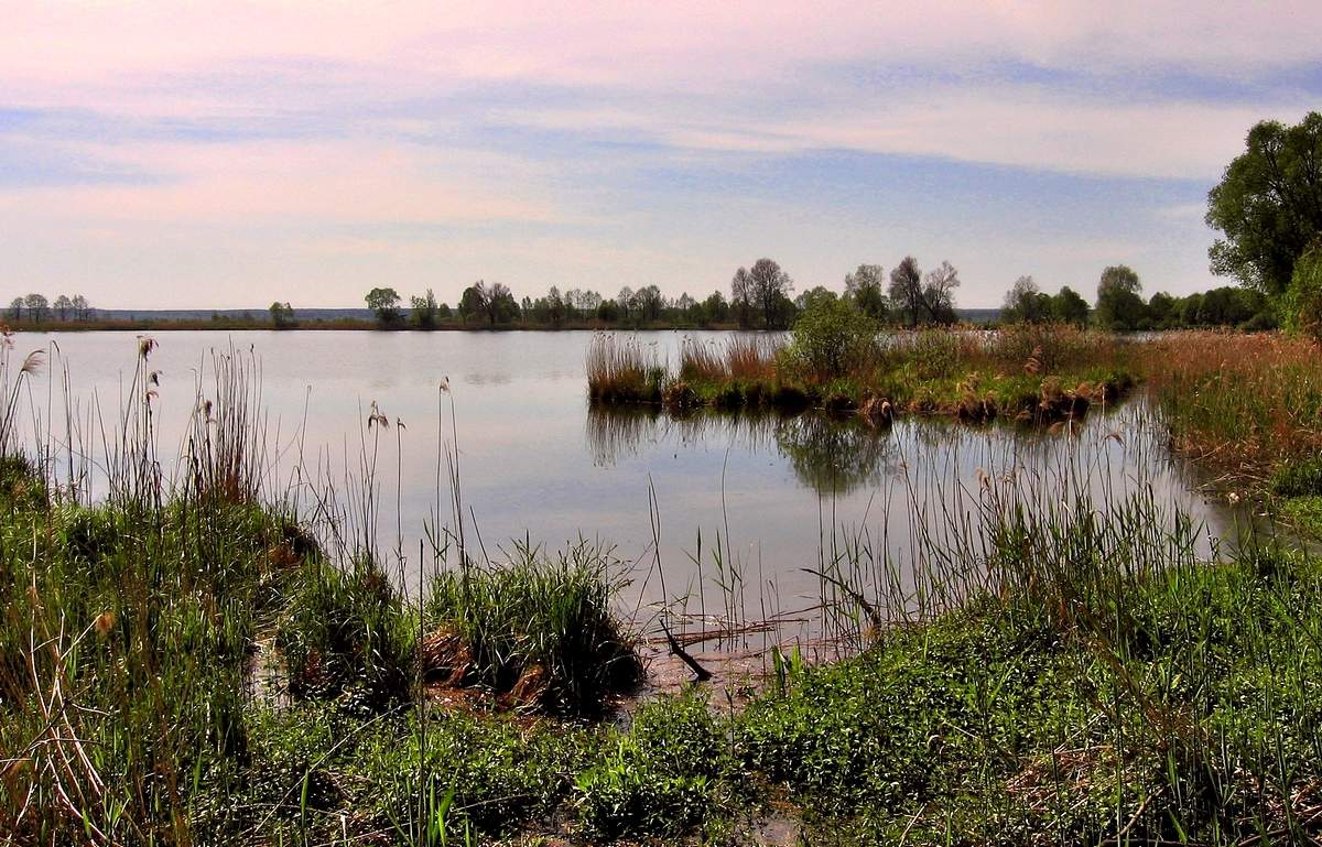 Весенняя тишина на озере