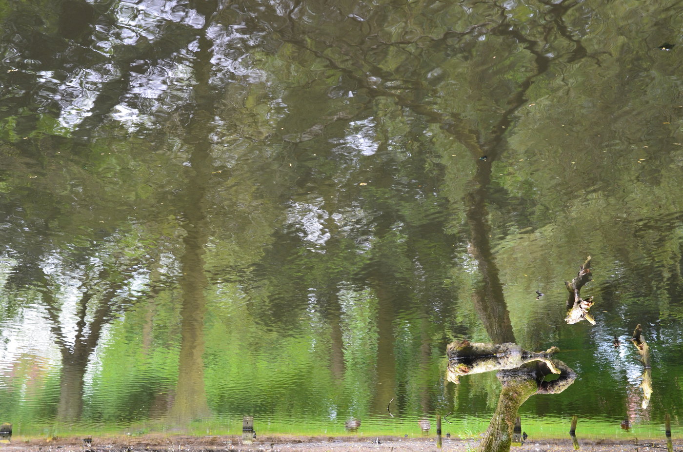 Почти картина