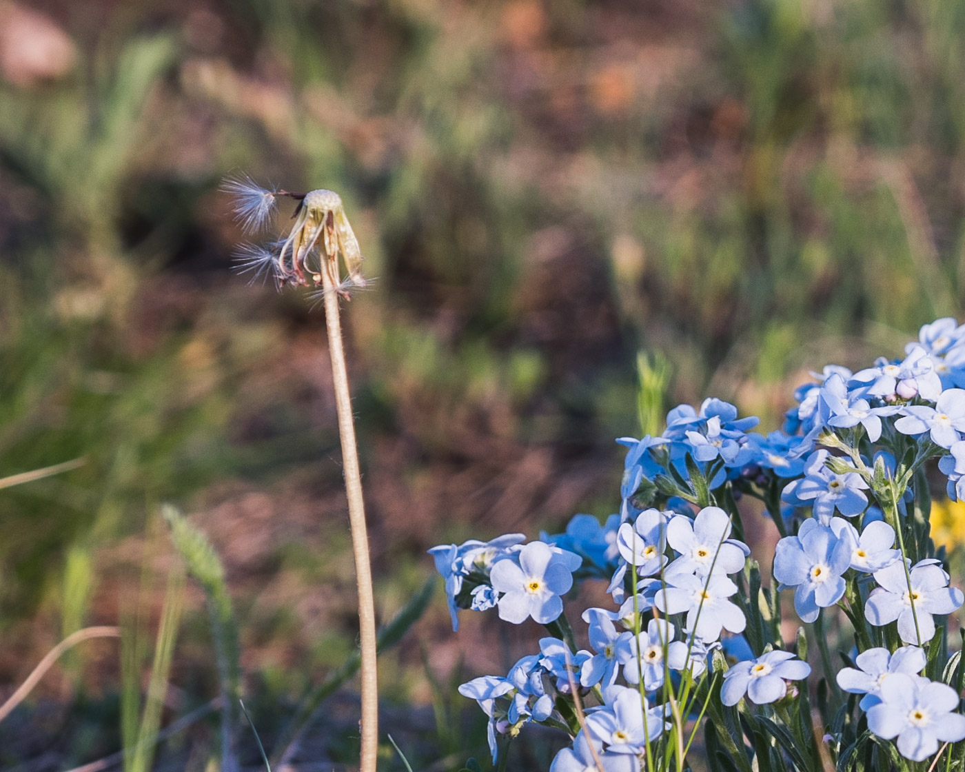 Смена пришла