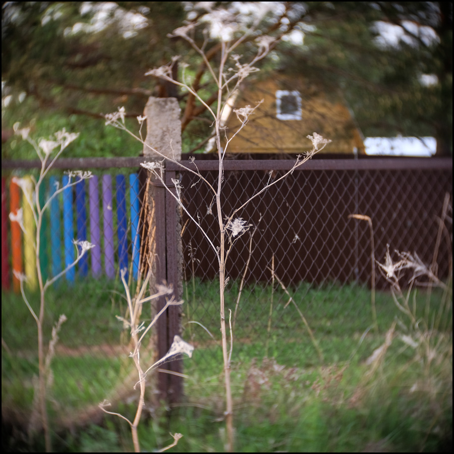 неископаемое