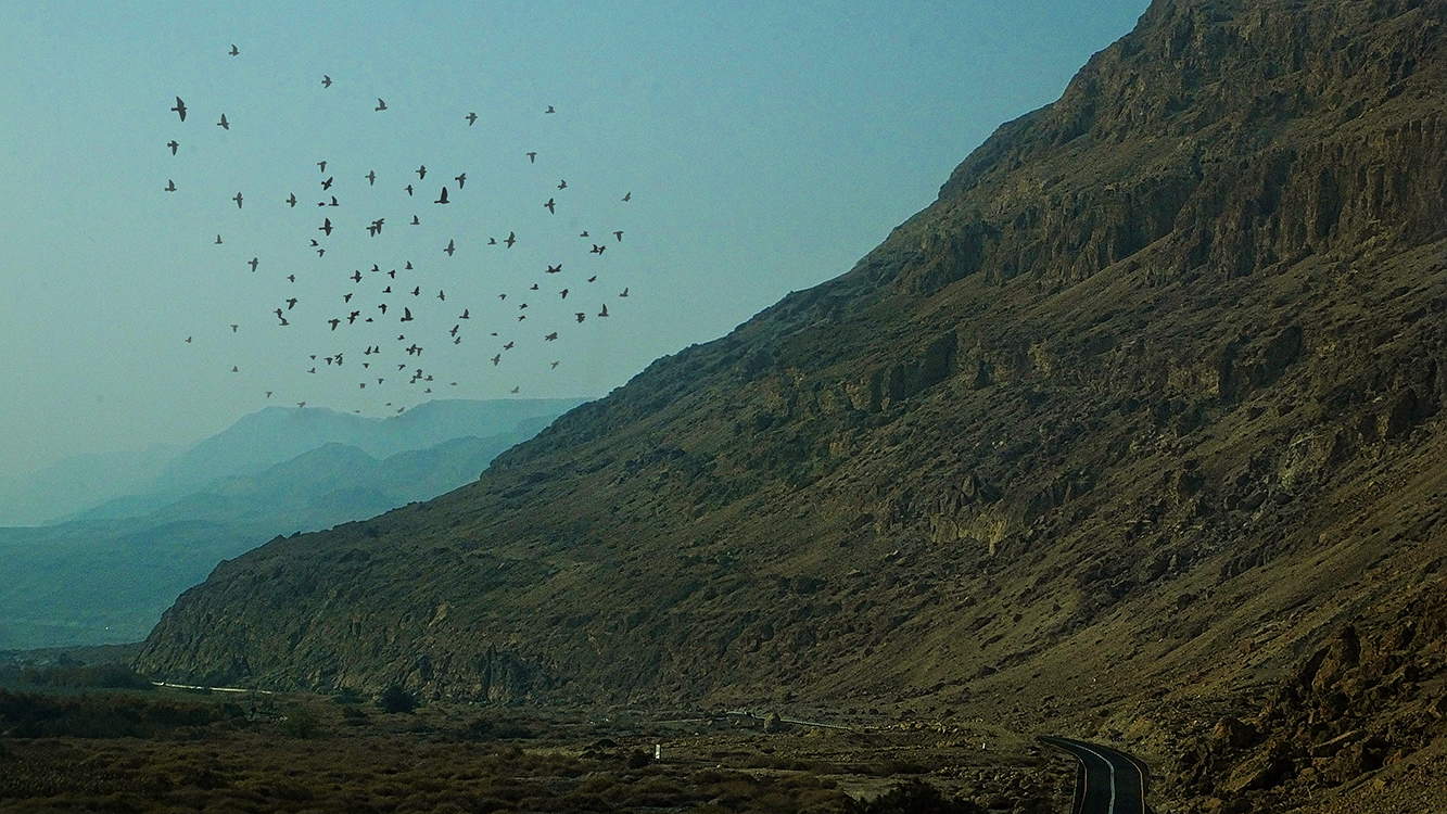 Дорога на Мёртвое море...