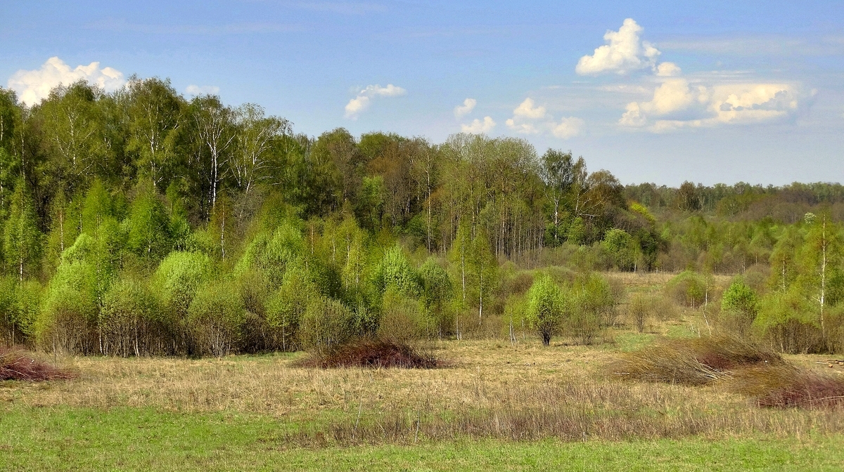 За окошком месяц май