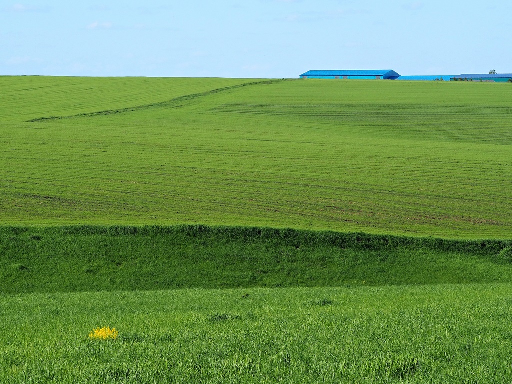 За окошком месяц май