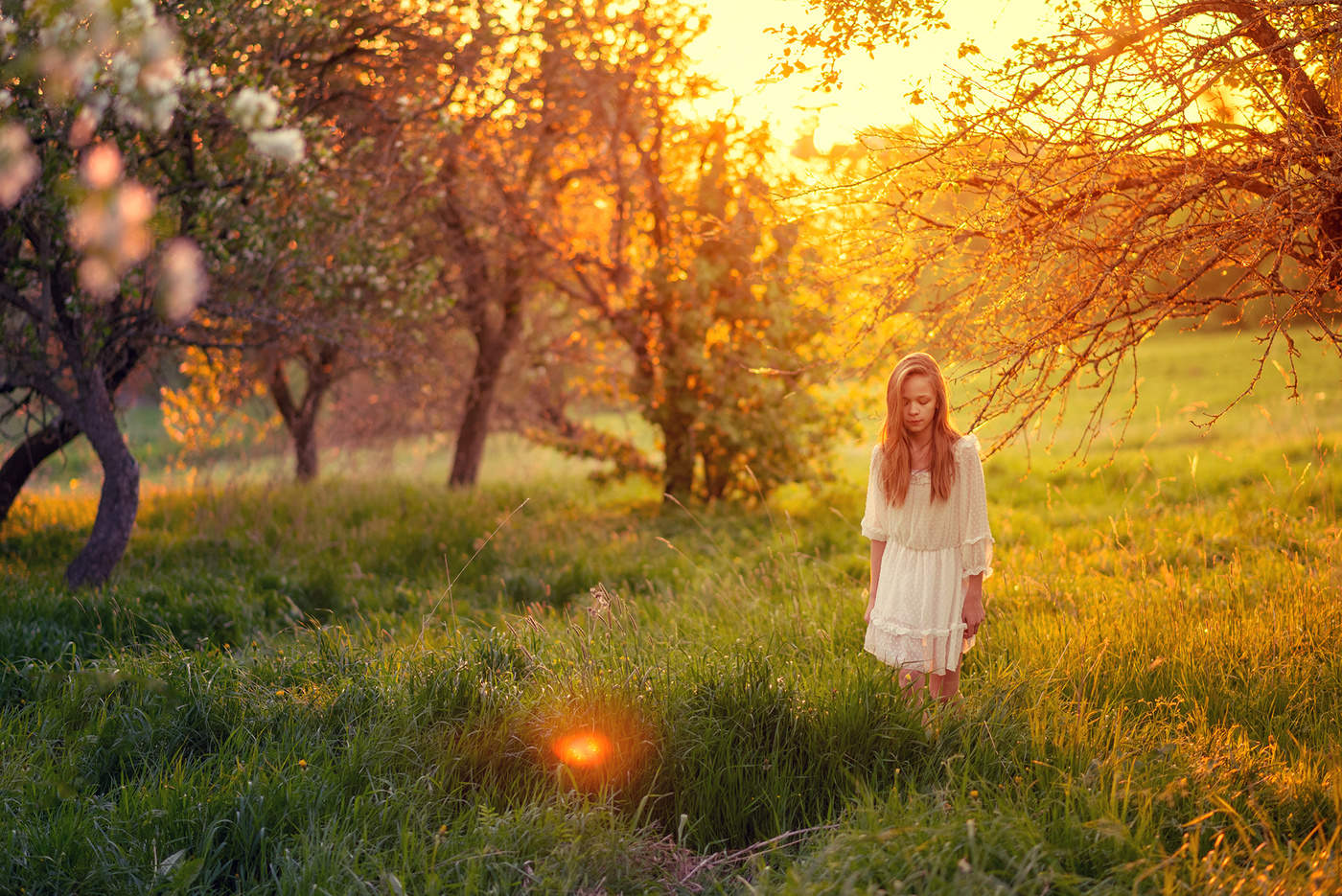 Отлетел яблонев цвет