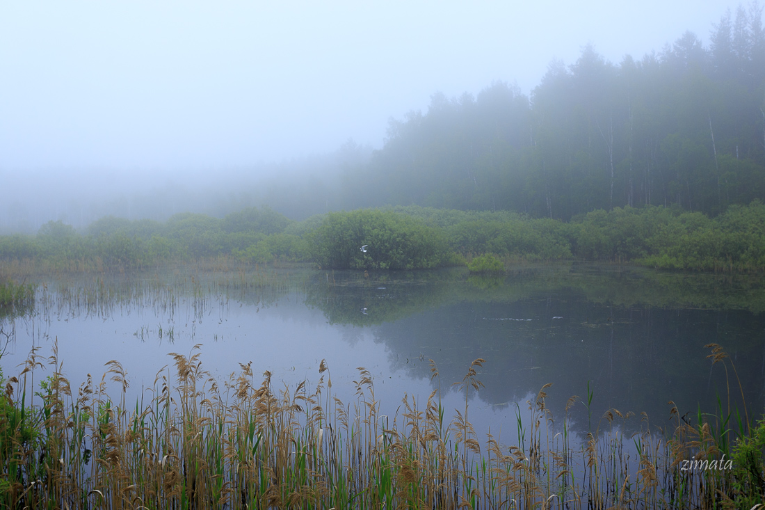 За окошком месяц май