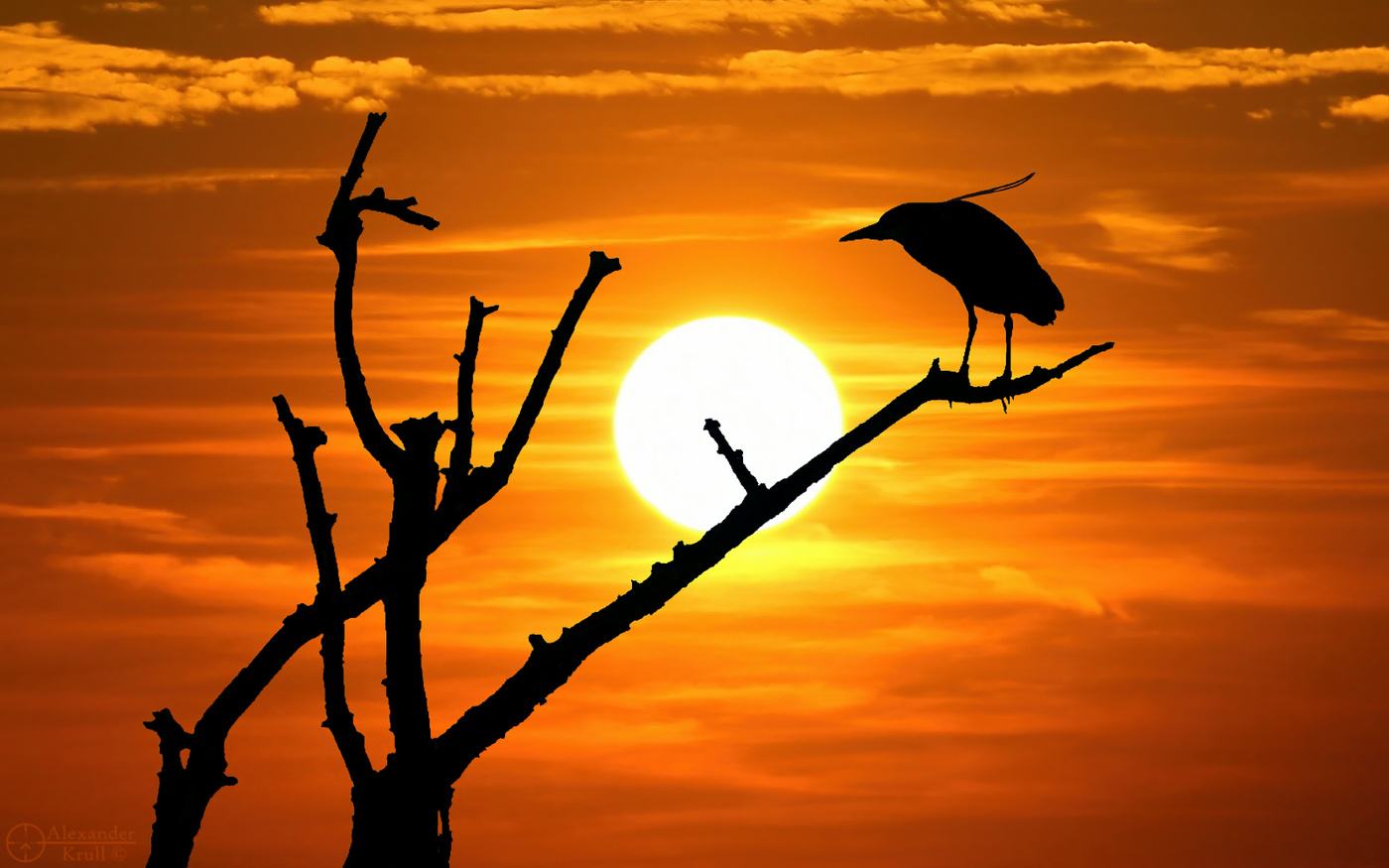 Вечерний покой...