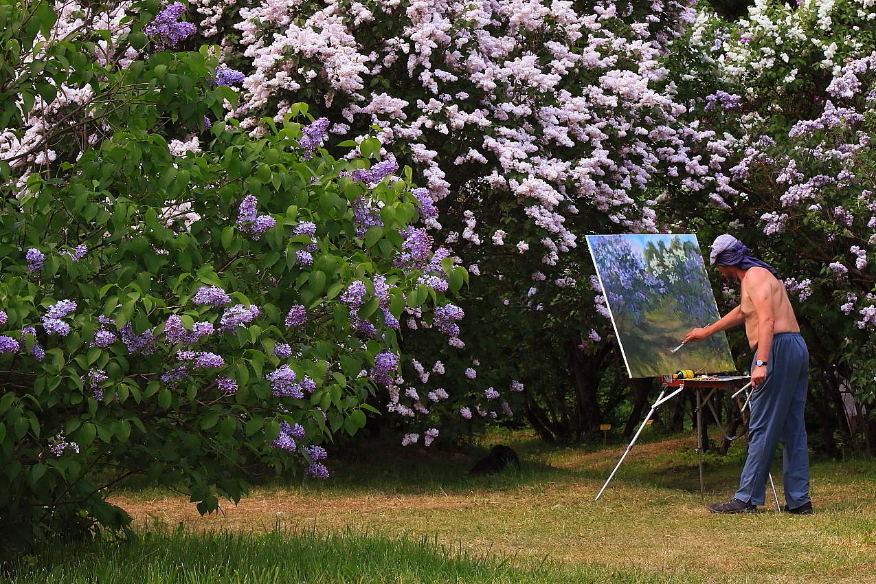 За окошком месяц май