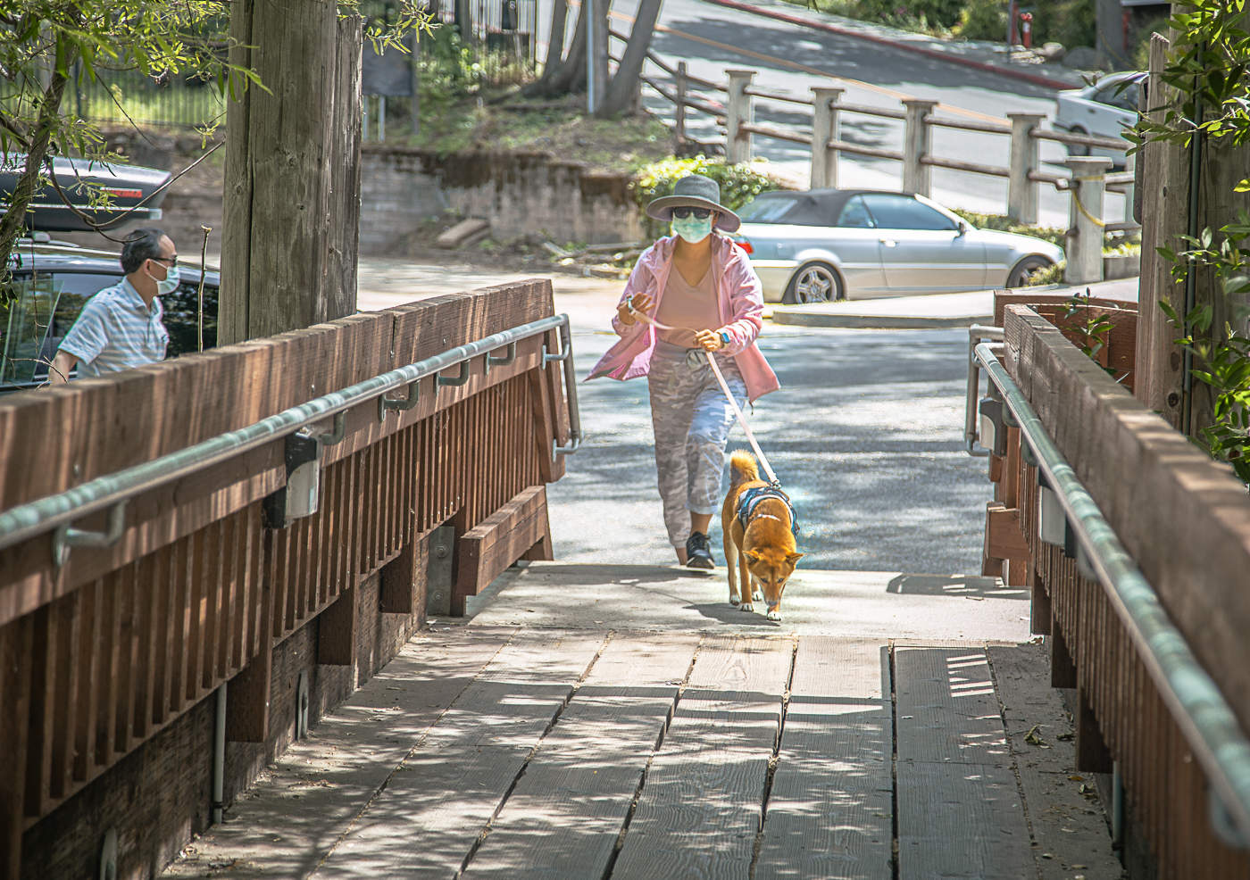 Майский денёк