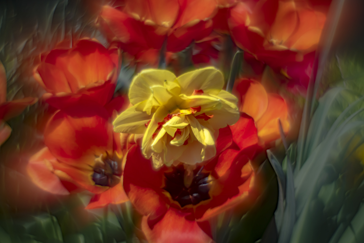 За окошком месяц май