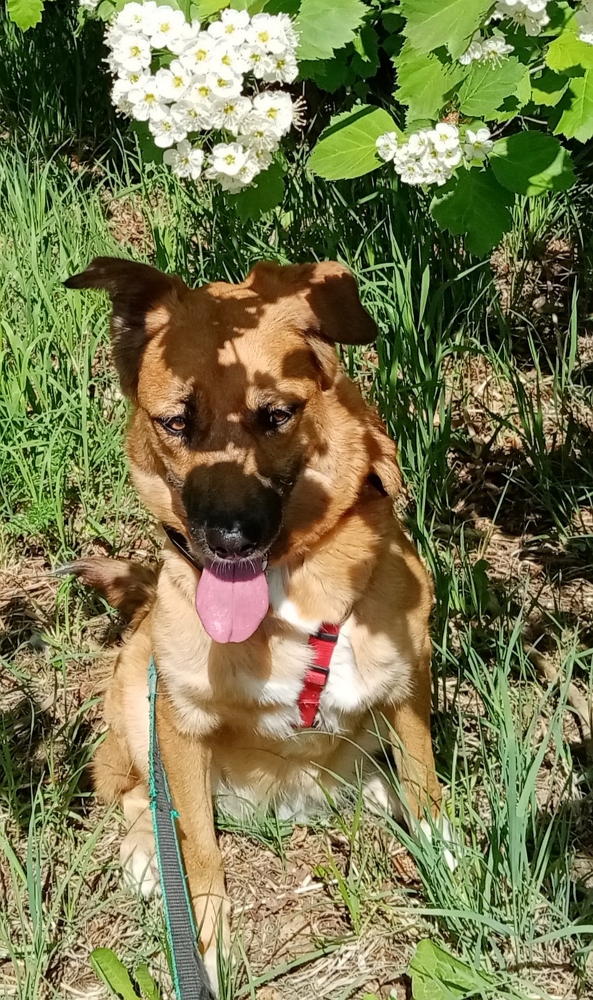 Ох уж это солнце..