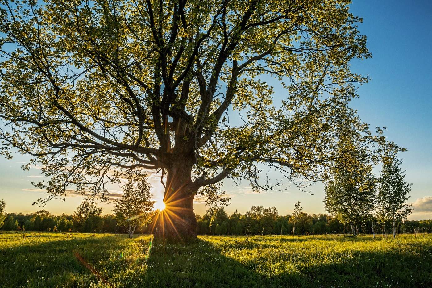 За окошком месяц май