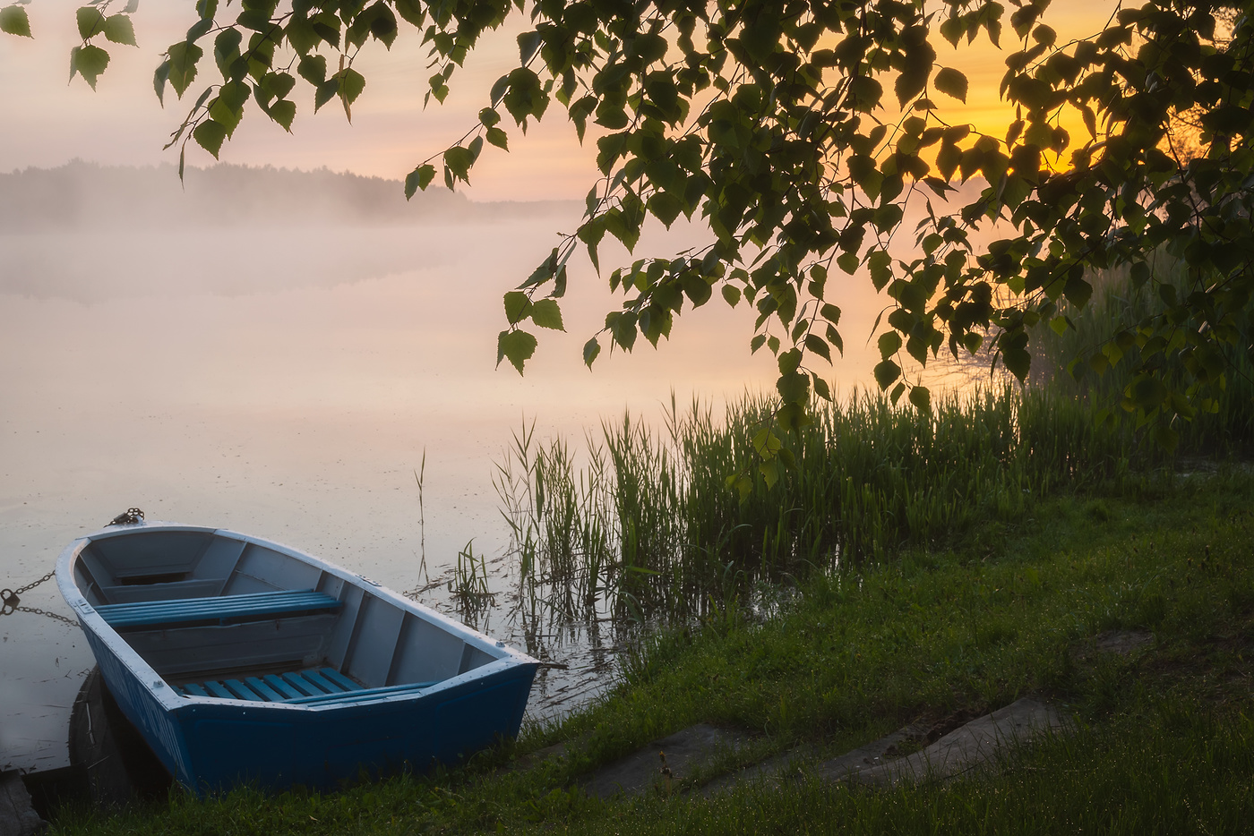 У рассветного берега