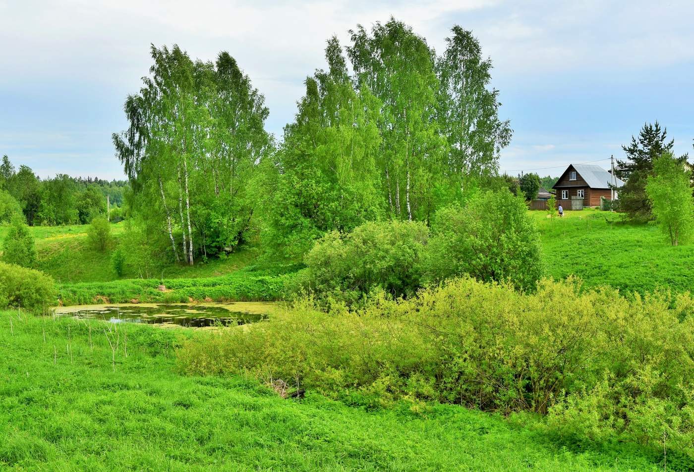 "Зеленою ряскою покрыта гладь пруда ..."