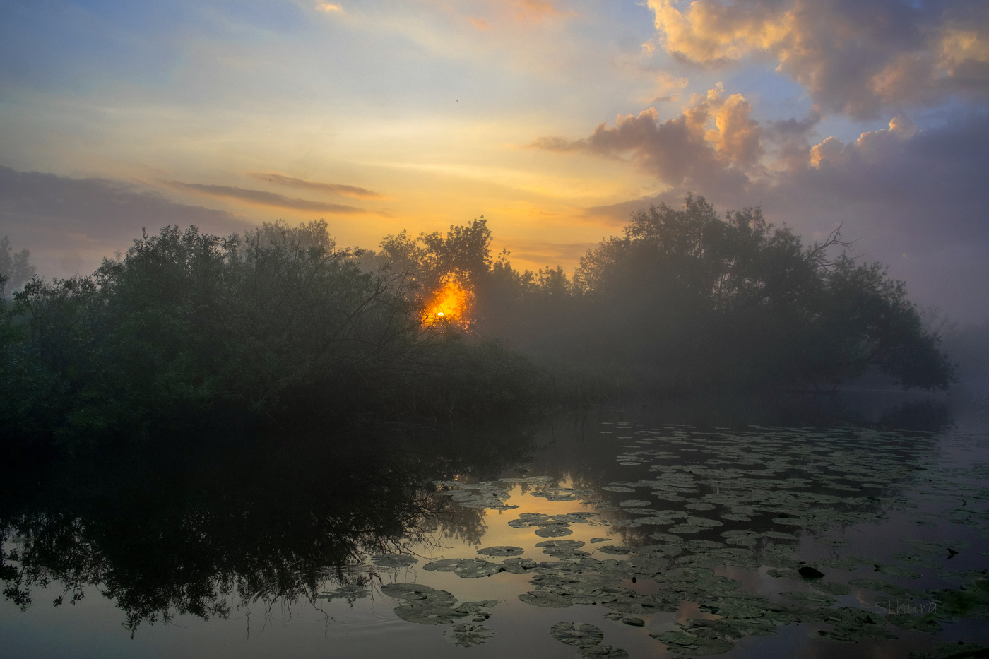 На утренней заре.