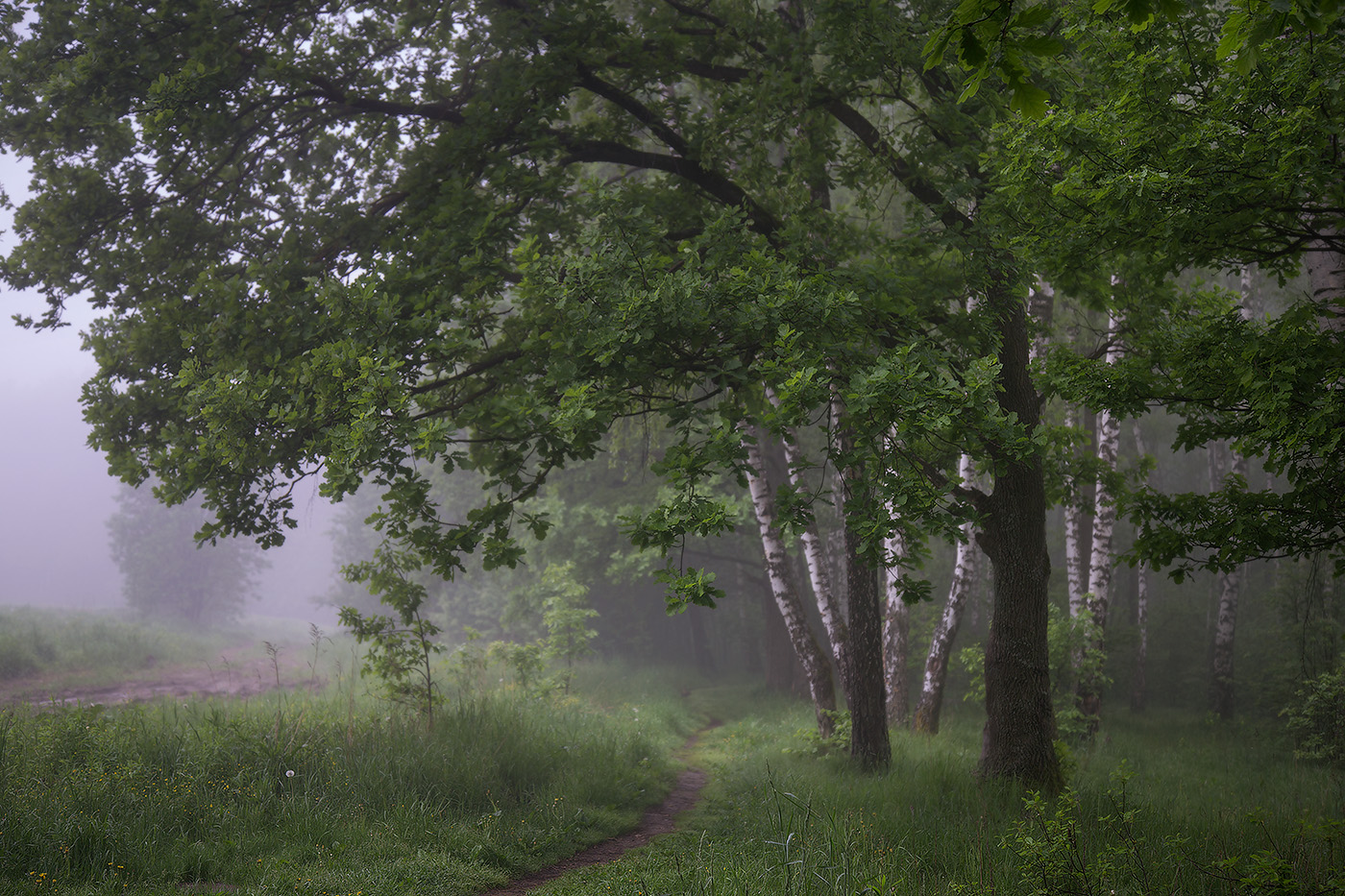 Утро туманное