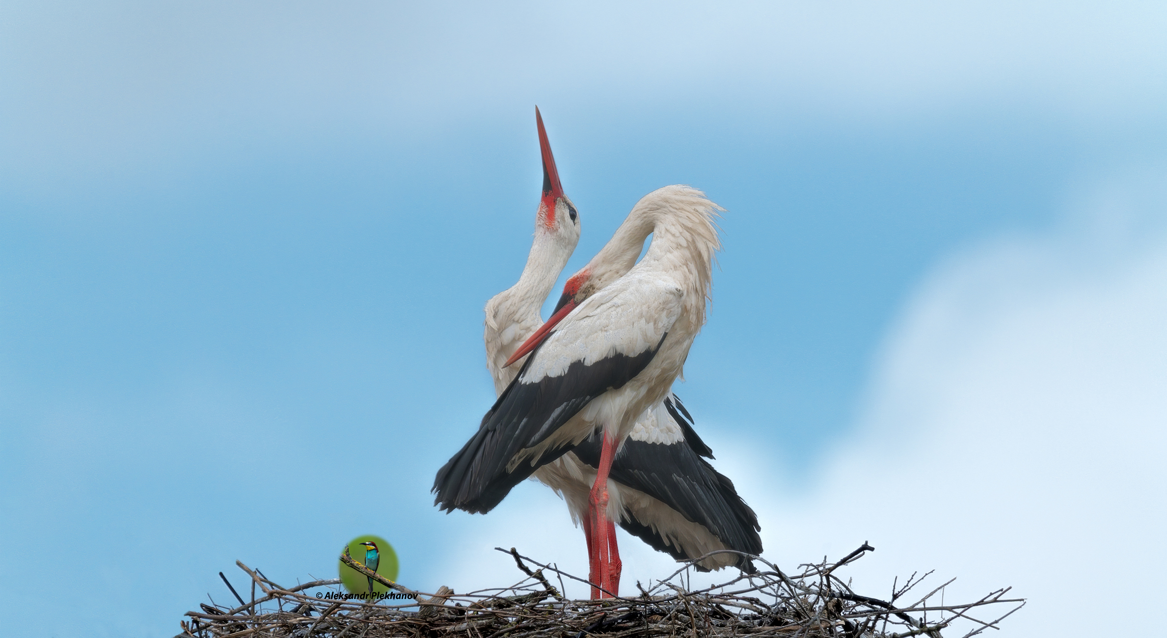 Танец любви