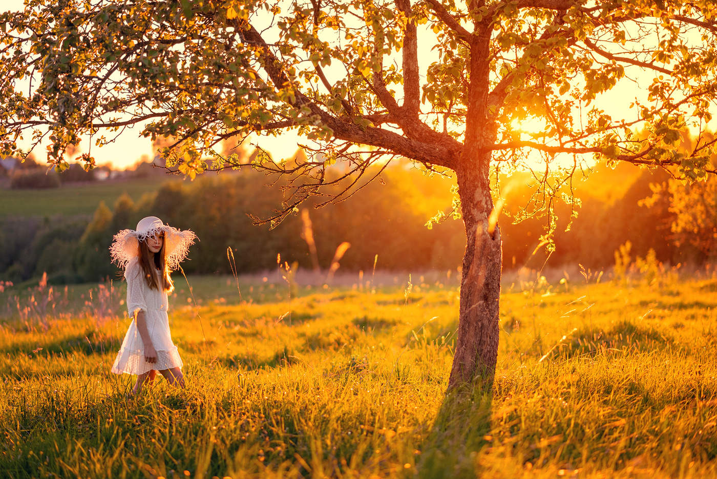 В лучах заходящего солнца