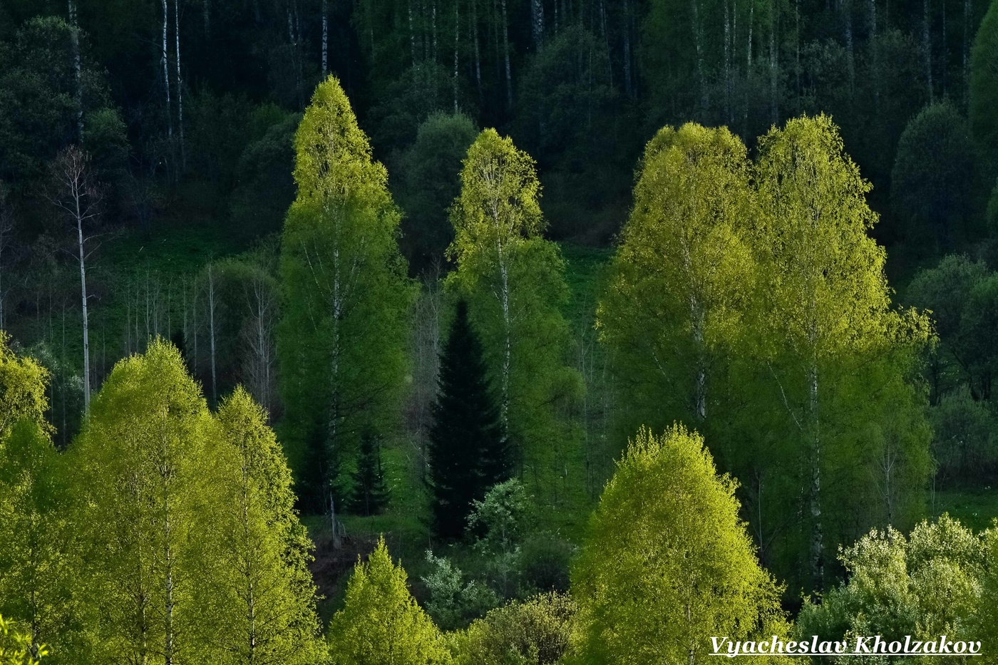 Майский вечер
