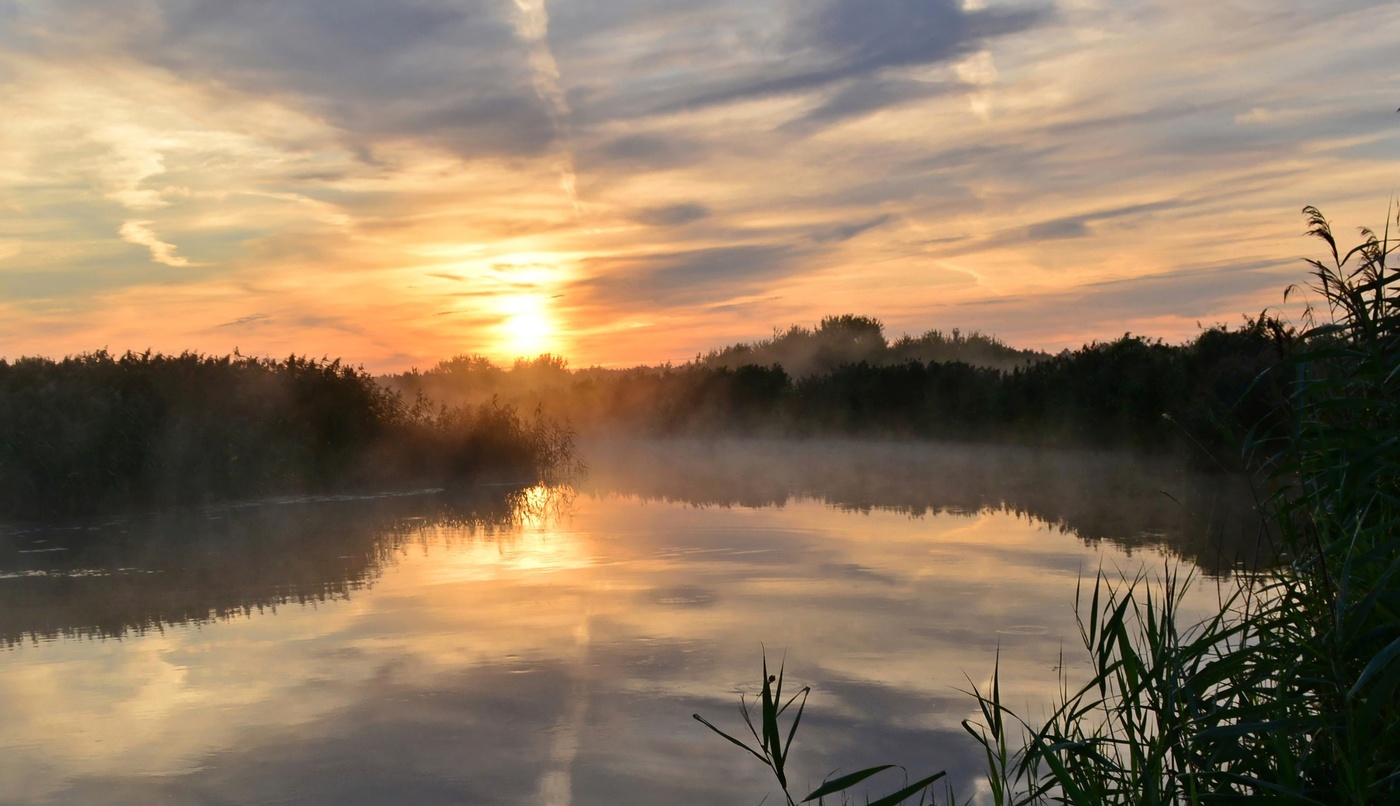 Летним утром
