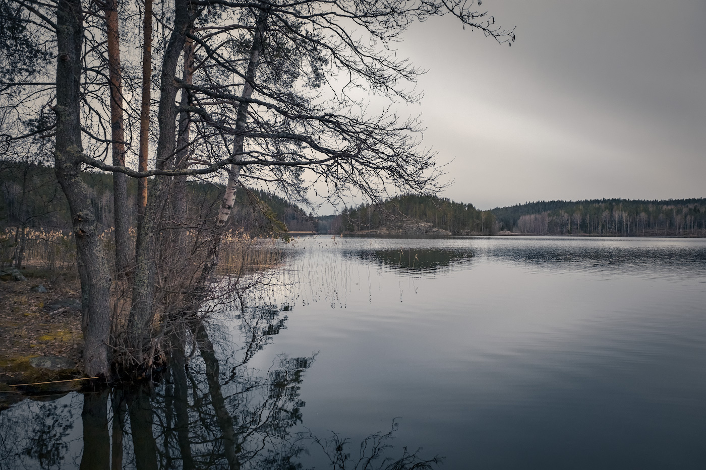 Пасмурный вечер