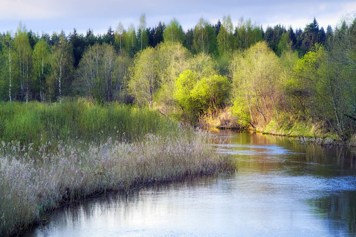 Ранним утром на реке