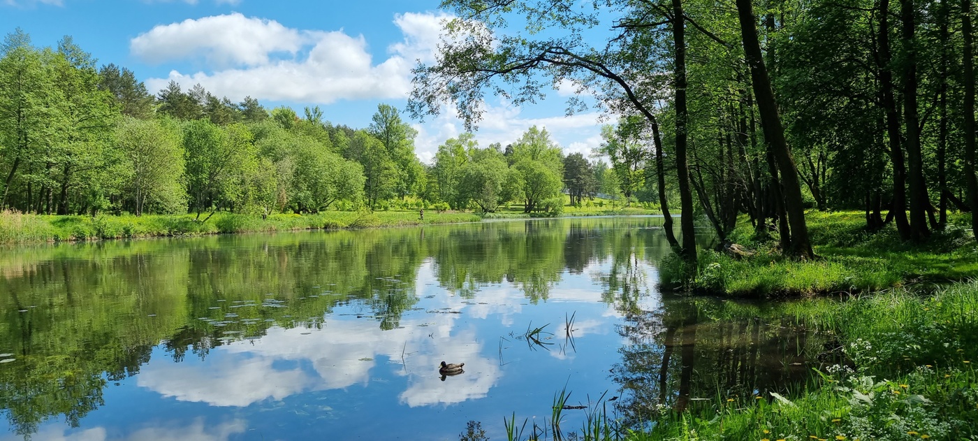 Вот и лето пришло...