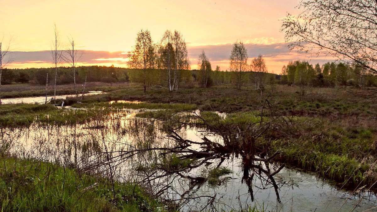 Последнее майское утро