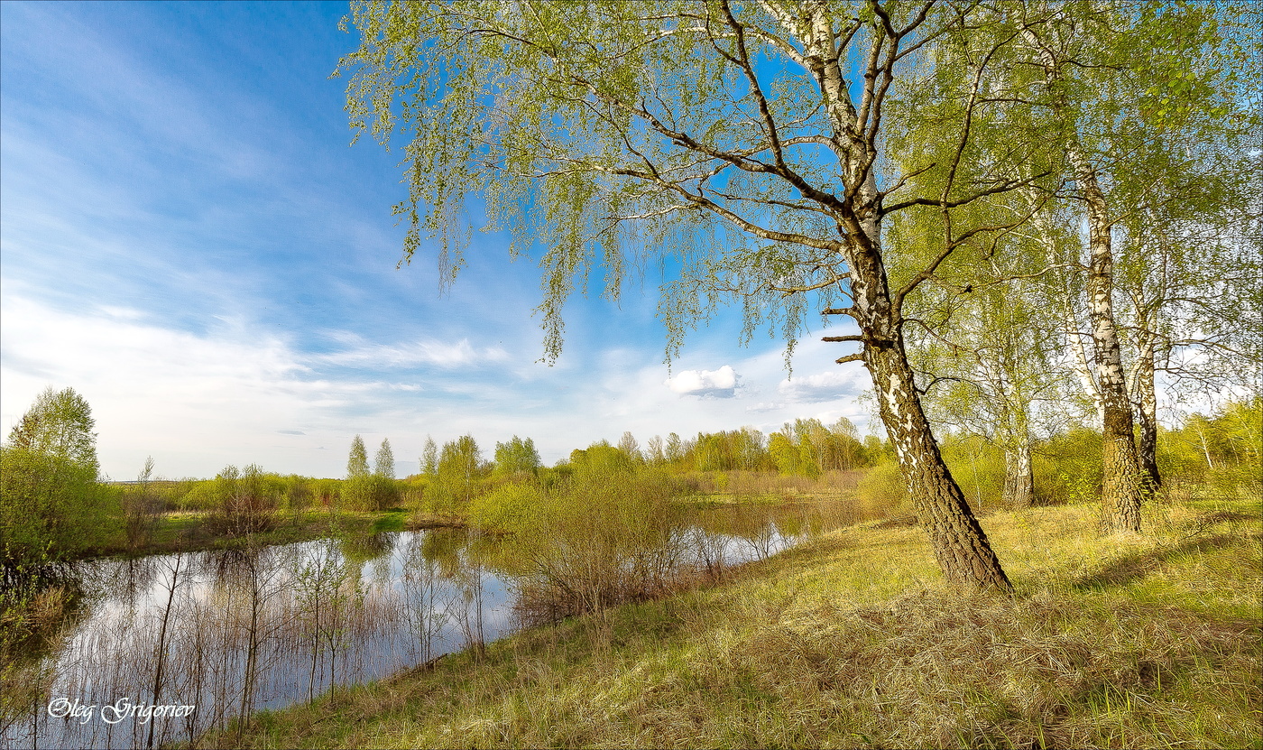 Такой запомнилась Весна...